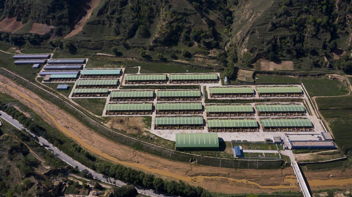 HARCHOY Cashmere Goat Farm